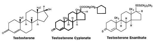 testosterone cypionate quad injection sites